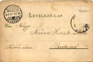 1899 (Vorläufer) Siófok, Központi szálloda, fürdőház, Sió és Hullám szálloda, Sió. Wlaszlovits Guszt...