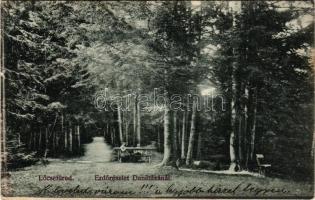 1912 Lőcsefüred, Lőcse-fürdő, Levocské Kúpele (Lőcse, Levoca); erdő részlet Daniházánál. Braun Fülöp kiadása / forest detail by Danielov dom (felületi sérülés / surface damage)