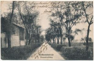 1915 Székesfehérvár, Hosszú sétány. Braun Nővérek kiadása (ázott / wet damage)