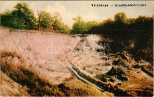 Tatabánya, iszaptömedéktermelés, bánya (fl)