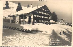 Lofer Alps hotel photo