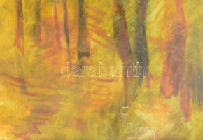 Forrai Gábor (1925 - 2000): Erdei táj. Olaj, karton. Jelzett, keretben. 33x48 cm