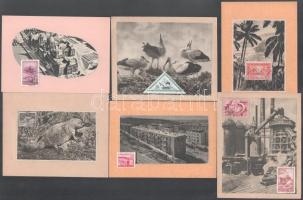 19 db kép, rajta azonos ábrájú bélyegzett bélyegek, magyar és külföldi (CM-szerű anyag) / 19 picture with used stamps (CM like)