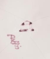 Habán múzeumi másolat korsó, jelzett, m: 26 cm