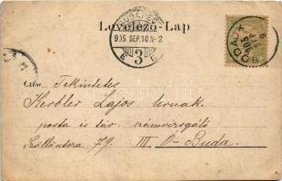 1905 Bodajk, lakóház, háttérben a Kálvária. photo (r)