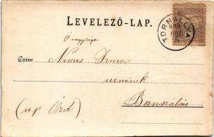 1900 Borosznófürdő, Brusno-kúpele (Borosznó, Brusznó, Brusno); fürdőház, Lajos lak. Szecessziós virá...