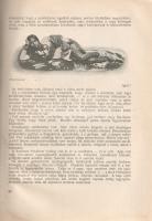 Kertész K[ároly] Róbert: 
Képek Ázsia keletéről. Pillanatfelvételek egy világkörüli sétáról. Két sz...