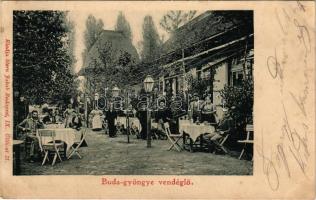 1901 Budapest II. Budagyöngye vendéglő, kert vendégekkel, pincérekkel. Stern Jakab kiadása (EK)