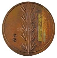 1984. "30 éves a Hajós Alfréd úttörőház Vác 1954-84" kétoldalas bronz emlékérem, hátoldalán sárgaréz toldalékkal (87mm) T:XF