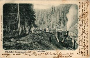 1905 Komandó, Kommandó, Comando, Comandau; Vadászház, iparvasút, gőzmozdony. Bogdán F. fényképész / industrial railway, locomotive, wood industry (fl)