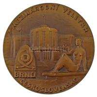 Csehszlovákia DN "Mezinárodní Veletrh (Nemzetközi Mérnöki Vásár) - Brno - Československo" egyoldalas bronz emlékérem (80mm) T:XF