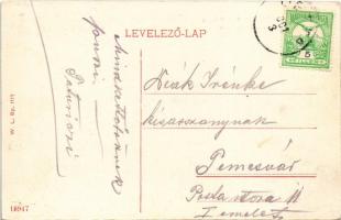 Detta, Ghedu, Deta; Aggok háza (öregek otthona). W.L. Bp. 1112. / nursing home (EK)