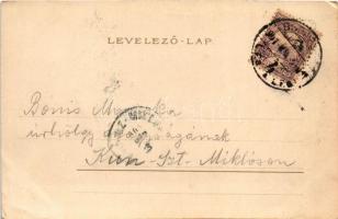 1901 Szecessziós litho hölgy, No. 253. / Art Nouveau lady postcard. litho (EK)