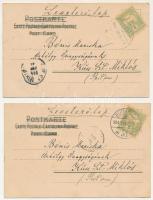 6 db RÉGI (1905 előtti) Catharina Klein virágos litho művészlap, közte: dombornyomott / 6 pre-1905 l...