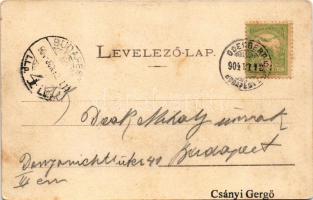 1904 Zólyom, Zvolen; vár. Lechnitzky O. kiadása (Besztercebánya) / castle (fl)