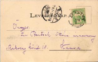 1902 Baldóc, Baldócz-fürdő, Kúpele Baldovce; gyógyfürdő látképe / spa, general view (vágott / cut)