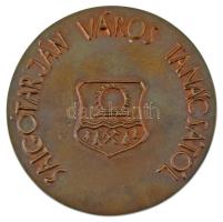 Kiss Sándor (1925-1999) DN "Salgótarján Város Tanácsától" kétoldalas bronz érdemérem (96mm...