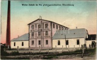 Bihardiószeg, Bihar-Diószeg, Diosig; Weisz Jakab és Fia gőzhenger műmalma, gőzmalom / steam mill (fl)