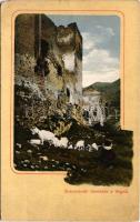 1911 Sztrecsnó, Sztrecsény, Strecno (Ruttka, Vrútky); Sztrecsnó vár romladék a Vágnál. Feitzinger Ede No. 852. / castle ruins by Váh (EM)
