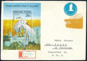1981