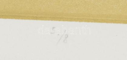 Nádas Alexandra (1974-): Kötődések, 2002. Színes litográfia, papír, jelzett, számozott: 3/8. Lapszél...