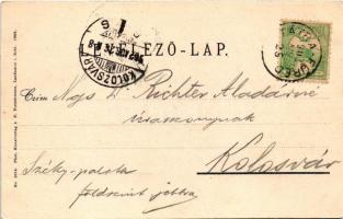 1902 Tátraszéplak, Tatranska Polianka, Westerheim (Tátra, Magas-Tátra, Vysoké Tatry); Schlesierhaus,...