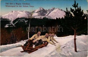 Tátra, Magas-Tátra, Vysoké Tatry; Téli élet, sport, irányítható kormányos szánkó / Wintersport, controllable bobsleigh, sledding (ázott sarok / wet corner)
