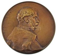 Telcs Ede (1872-1948) 1906. "Gróf Andrássy Gyula / Szoboremlékének lepelhullása alkalmából 1906" bronz emlékérem dísztokban (69mm) T:AU,XF / Hungary 1906. "Unveiling of the statue of Count Gyula Andrássy" double-sided bronze medallion in case. Sign: Ede Telcs (69mm) T:AU,XF HP 6073.