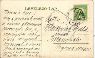 1908 Huszt, Chust, Khust; Fő tér, vár, piac, Hartstein üzlete / main square, castle, market, shops (...