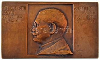 Murányi Gyula (1881-1920) 1913. "Sztehlo Róbert igazgató jubileumának emlékére - Szeretetük jeléül tisztviselői 1873-1913" bronz emlékplakett (70x42mm) T:AU,XF / Hungary 1913. "Sztehlo Róbert igazgató jubileumának emlékére - Szeretetük jeléül tisztviselői 1873-1913 (In memory of the jubilee of director Róbert Sztehlo - As a note of their love, his officials 1873-1913)" bronz emlékplakett. Sign: Gyula Murányi (70x42mm) C:AU,XF