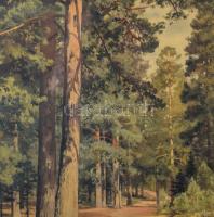 Dekoratív fa képkeret tájkép nyomattal, oldalán kisebb sérüléssel, belső méret: 51×77,5 cm