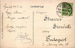 1911 Segesvár, Schässburg, Sighisoara; Wohl, F. Lingner üzlete, piac. H. Zeidner kiadása / street, s...