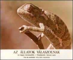 cca 1989 előtt készült, "Az állatok válaszolnak" című magyar film jelenetei és szereplői, ...