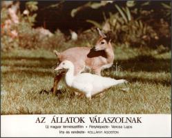 cca 1989 előtt készült, "Az állatok válaszolnak" című magyar film jelenetei és szereplői, ...