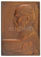 Pásztor János (1881-1945) 1912. "DR. GENERSICH ANTALNAK HÁLÁS TANÍTVÁNYAI 1912" bronz plakett (44x60mm) T:AU / Hungary 1912. "For Dr. Antal Genersich from his thankful students" bronze plaque. Sign: János Pásztor (44x60mm) C:AU