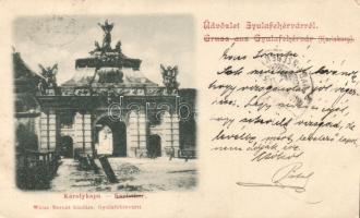 Gyulafehérvár Károly gate (small tear)
