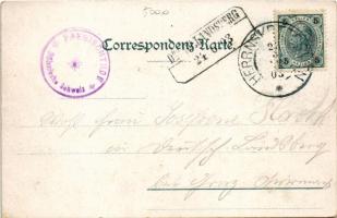 1903 Hrensko, Herrnskretschen; Gruss v. Prebischtor (sächs. böhm. Schweiz) / hotel, restaurant. Art ...