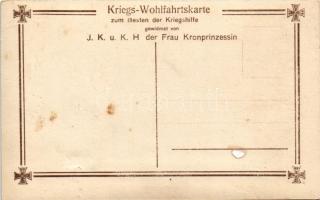 Die Söhne unseres Kronprinzenpaares in Feldgrau. Kriegs-Wohlfahrtskarte zum Besten der Kriegshilfe g...