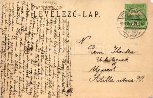 1910 Rózsahegy, Ruzomberok; Gróf Seefried villa. Komor Testvérek kiadása / villa (EM)