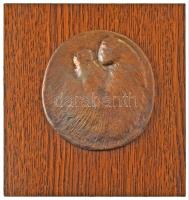 Takács Erzsébet (1928-1999) DN "Anyaság" öntött bronz plakett, fa alapzaton (~98x80mm) T:AU / Hungary ND "Anyaság" cast bronze plaque on wooden base (~98x80mm) C:AU