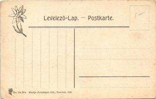 Tátralomnic, Tatranská Lomnica (Magas-Tátra, Vysoké Tatry); Pályaudvar, vasútállomás és a Lomniczi c...
