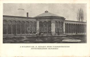 Budapest VIII. Pázmány Péter Tudományegyetem Növénykertjének pálmaháza