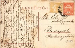 1909 Krasznahorkaváralja, Krásnohorské Podhradie; Képtár. Klösz György és Fia műintézetéből / art ga...