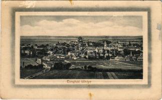 1917 Bonyhád, látkép. Reining E. kiadása (felületi sérülés / surface damage)