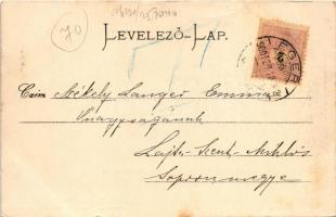 1900 Eger, Széchenyi utca (kaszinótól líceumig), szálloda, gyógyszertár, Ferenc-rendiek temploma (gy...