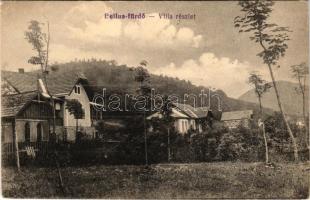 Bellus-fürdő, Belusské Slatiny Kúpele, Slatina Belusa; villa részlet / villa (fa)