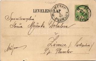 1902 Selmecbánya, Schemnitz, Banská Stiavnica; Bányászati és Erdészeti Akadémiai paloták. Joerges ki...