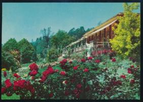 ca 1960 Magyar röplabda válogatott aláírásai képeslapon Ligeti László (1914-1994) a KPVDSZ főtitkárá...