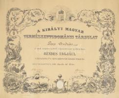 1931 A természettudományi Társulat tagsági oklevele Pap András részére Ilosvay Lajos (1851-1936) rektor, kémikus autográf aláírásával 60x50 cm felkereve