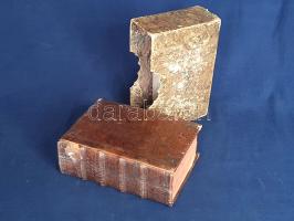 Szent Biblia. Az-az: Istennek Ó és Újj Testamentomában foglaltatott egész Szent Írás. Melly Magyar-n...